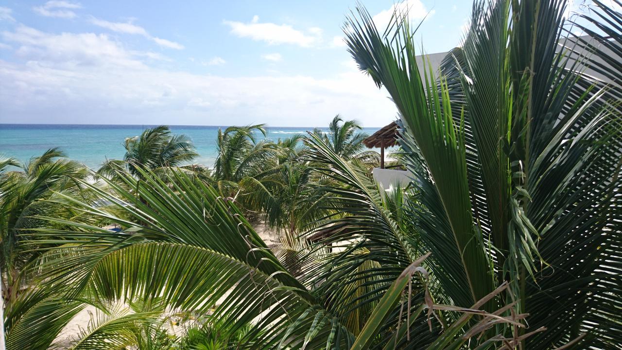 Hotel Almaplena Boutique Mahahual