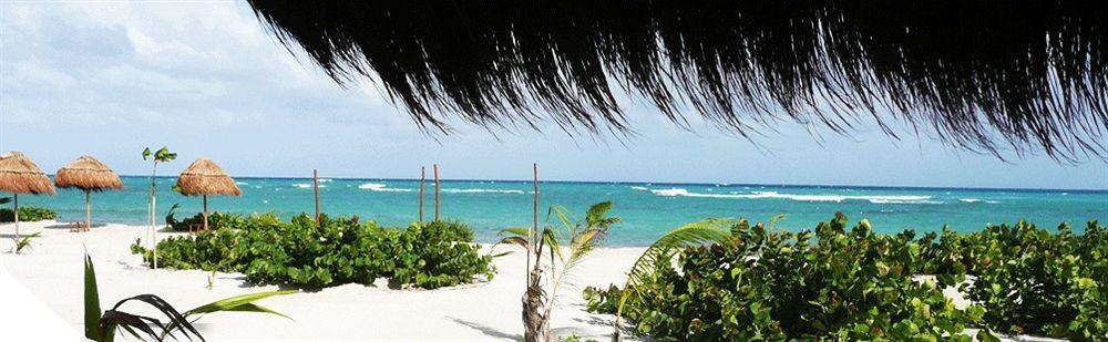Almaplena Boutique 3* Mahahual